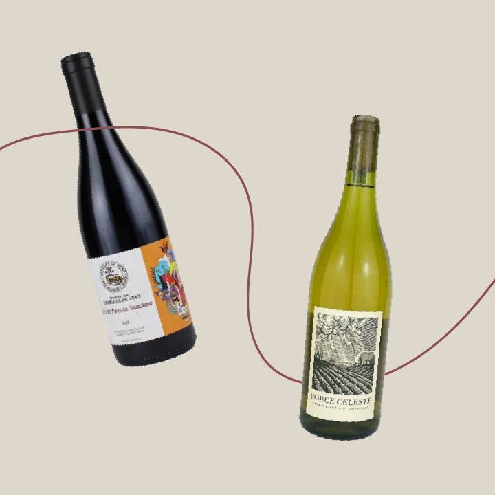 VINS